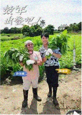 阴阳角圆弧过渡与附加层做法的现场速记照片